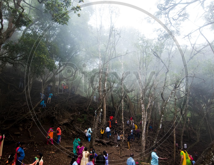 Tourists Or Visitors Trekking The Famous Roots Of trees At Guna Caves Or Devil's Kitchen at Kodaikanal