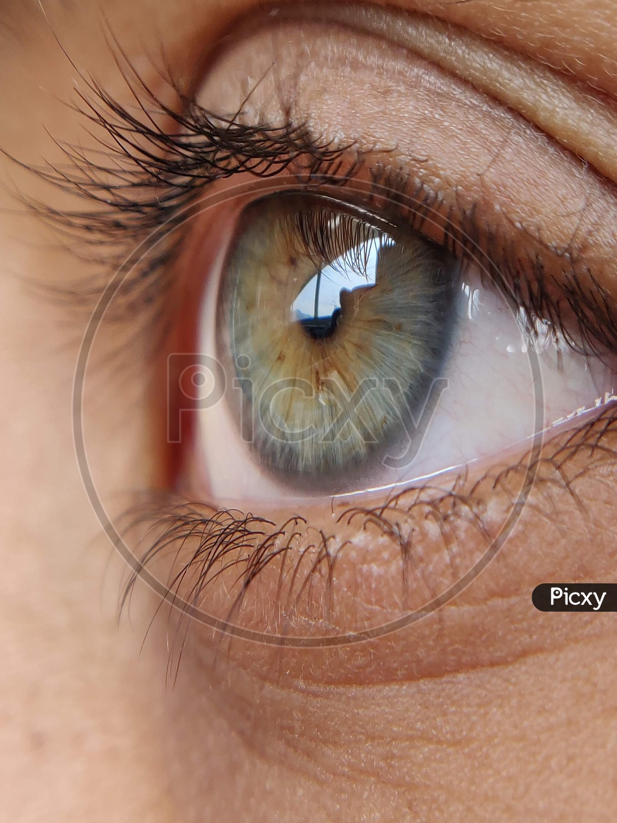 Macro shot of Human Eye