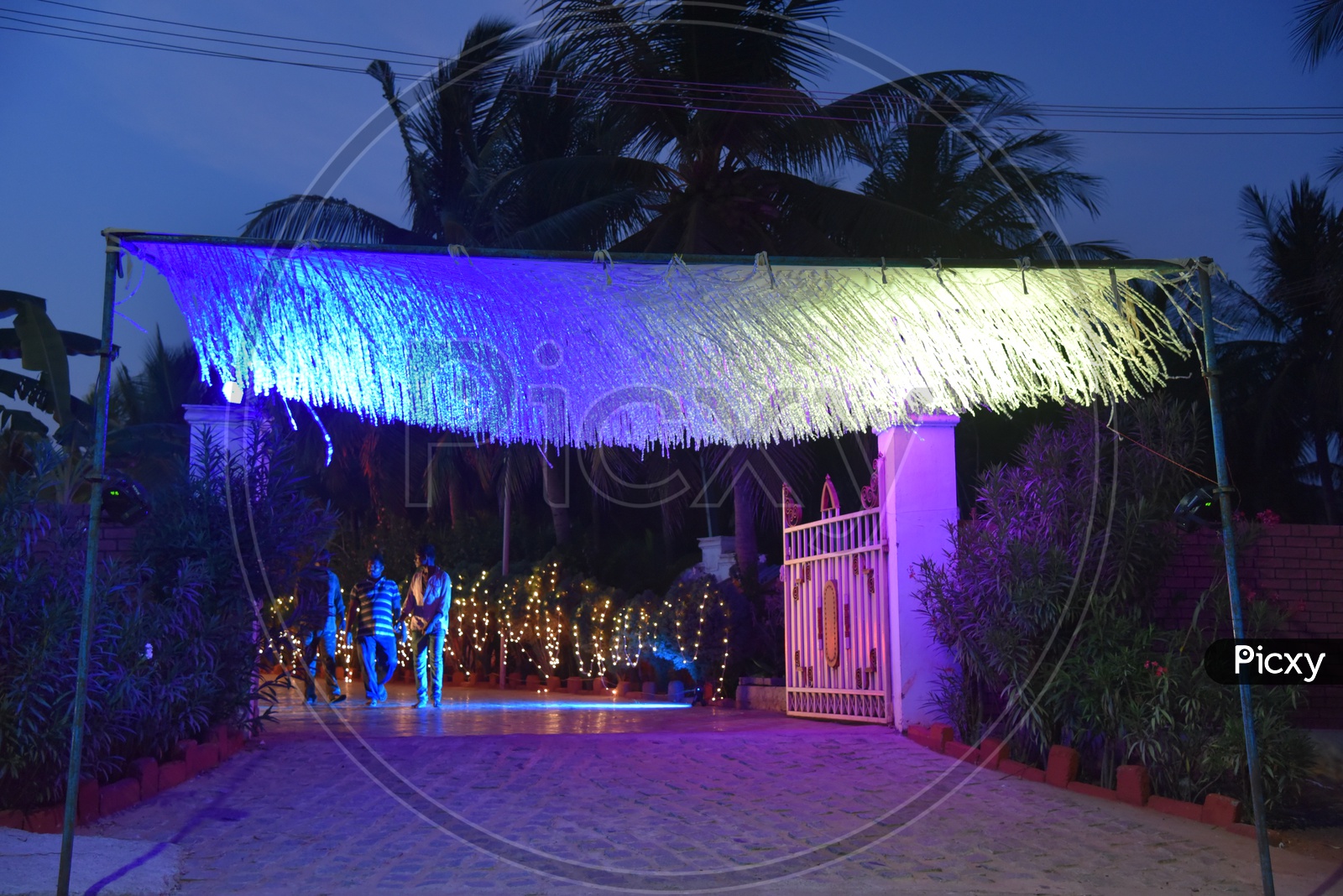 Led Lights Decoration at an  Reception Function
