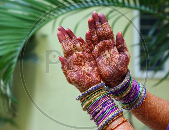 Indian Traditional Woman Hand Wearing  Bangles And  Mehandi Design On Hand Closeup
