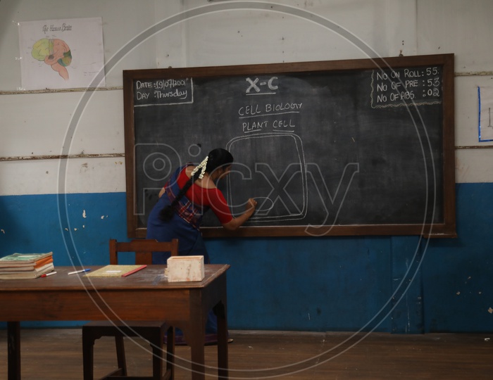 A Lady School Teacher Teaching Biology In a Classroom