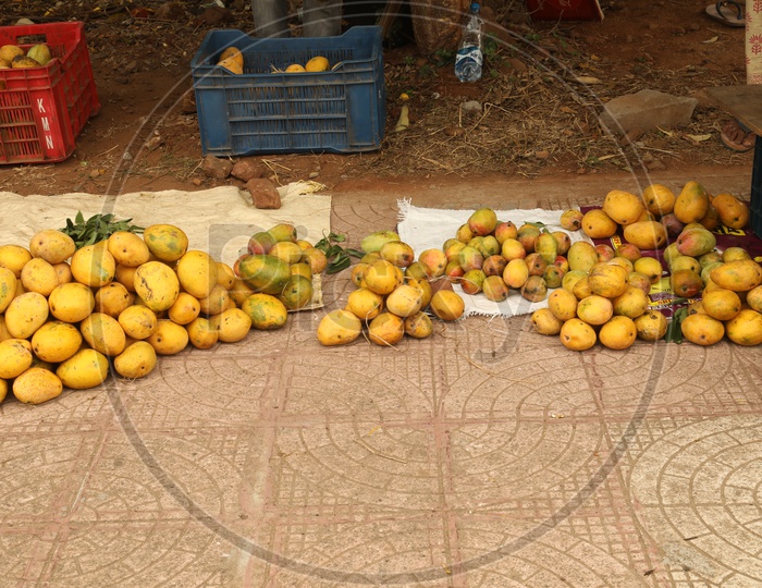 Mango Piles At a Vendor Stall