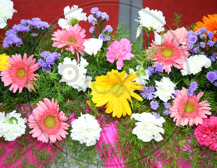 Fresh Flowers For Decoration