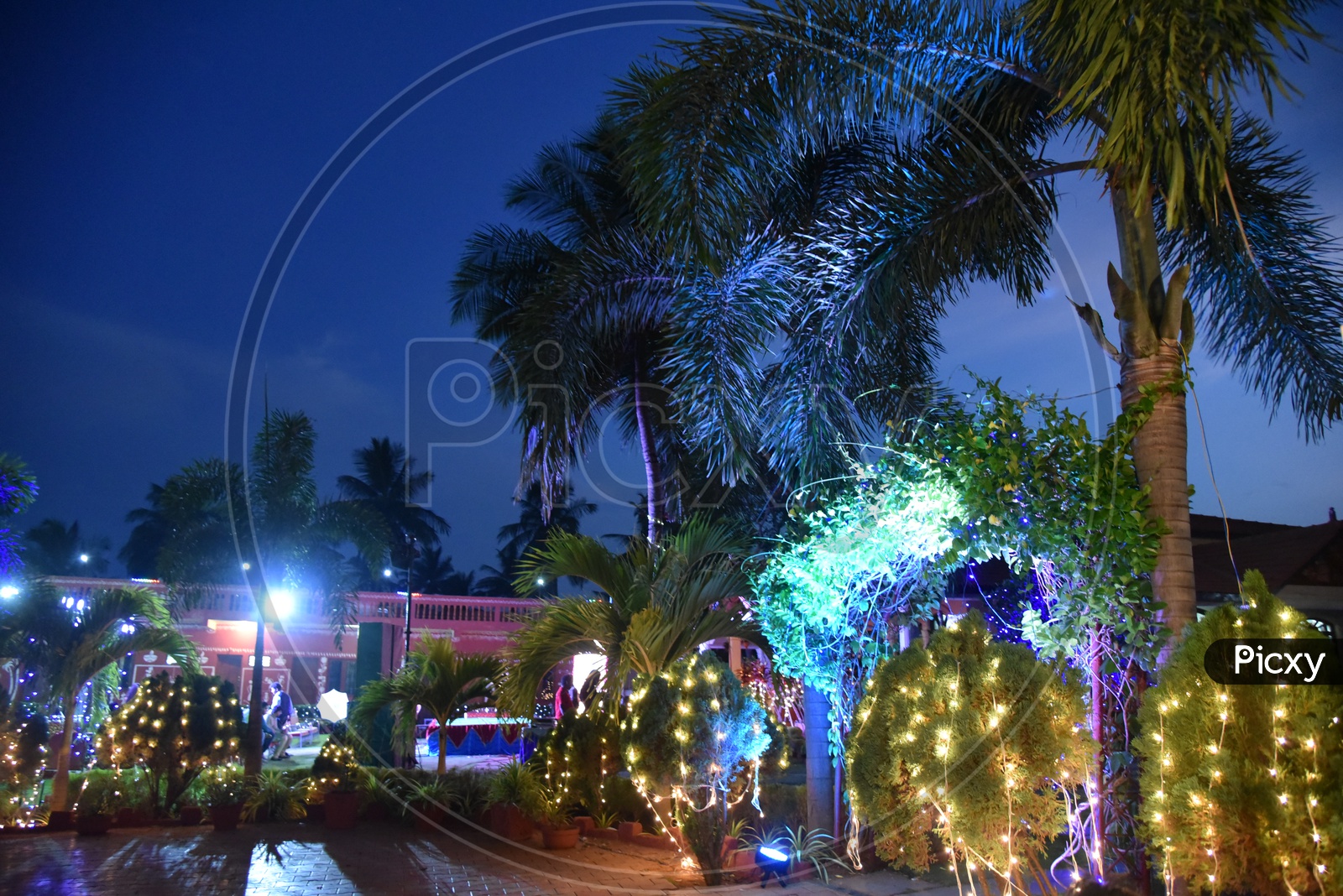 Led Lights Decoration at an  Reception Function