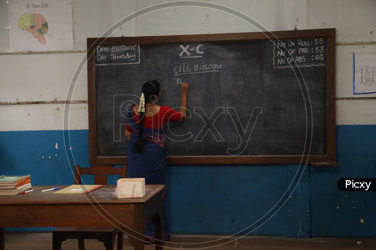 A Lady School Teacher Teaching Biology In a Classroom