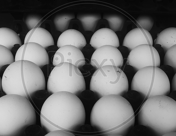 eggs tray