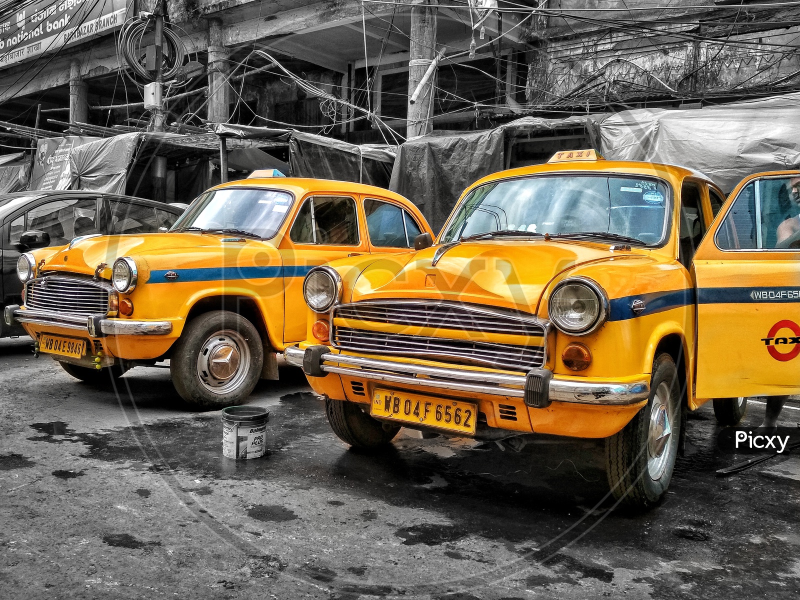Yellow taxis