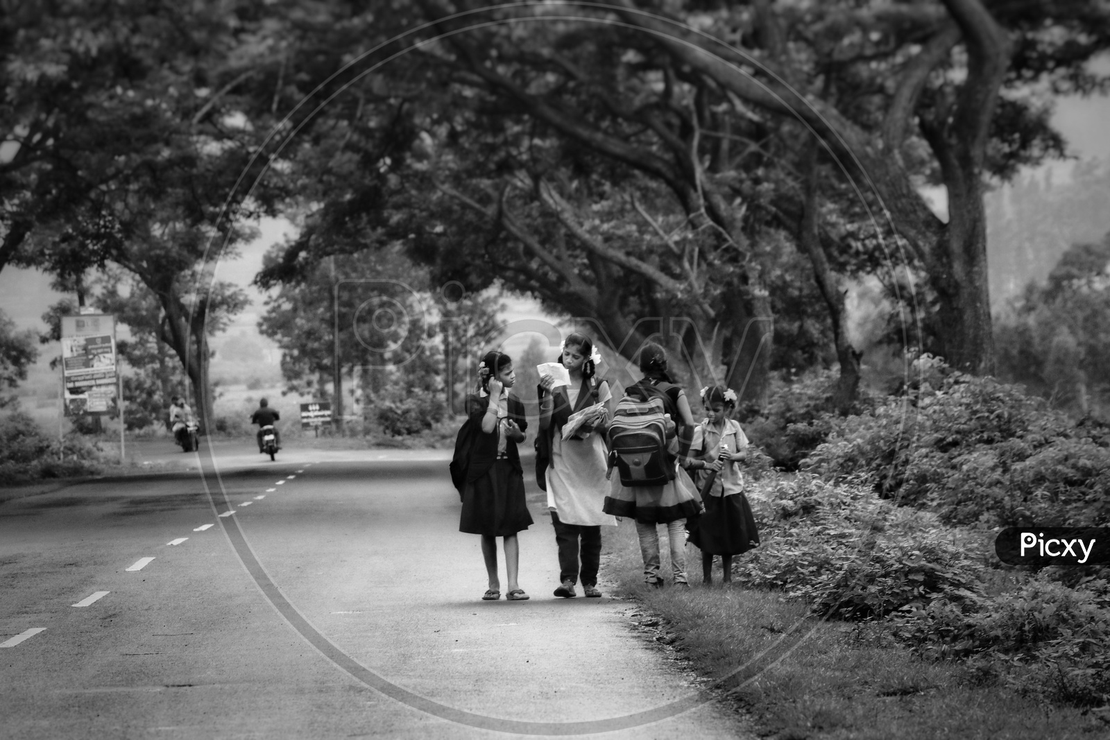 School girls going to school on road