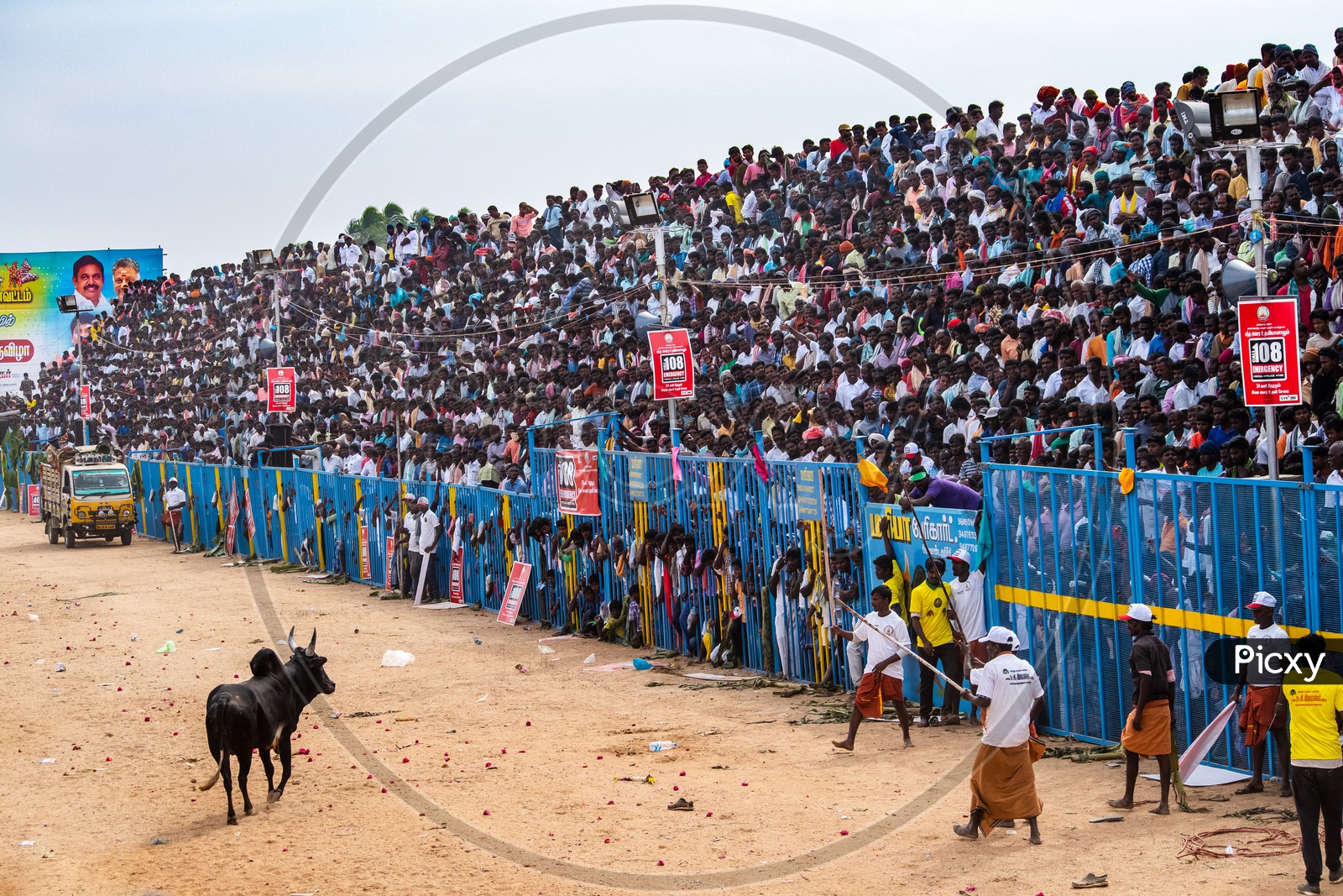 Berserk Bull Released Into  Crowd at Jallikattu In Tamilnadu
