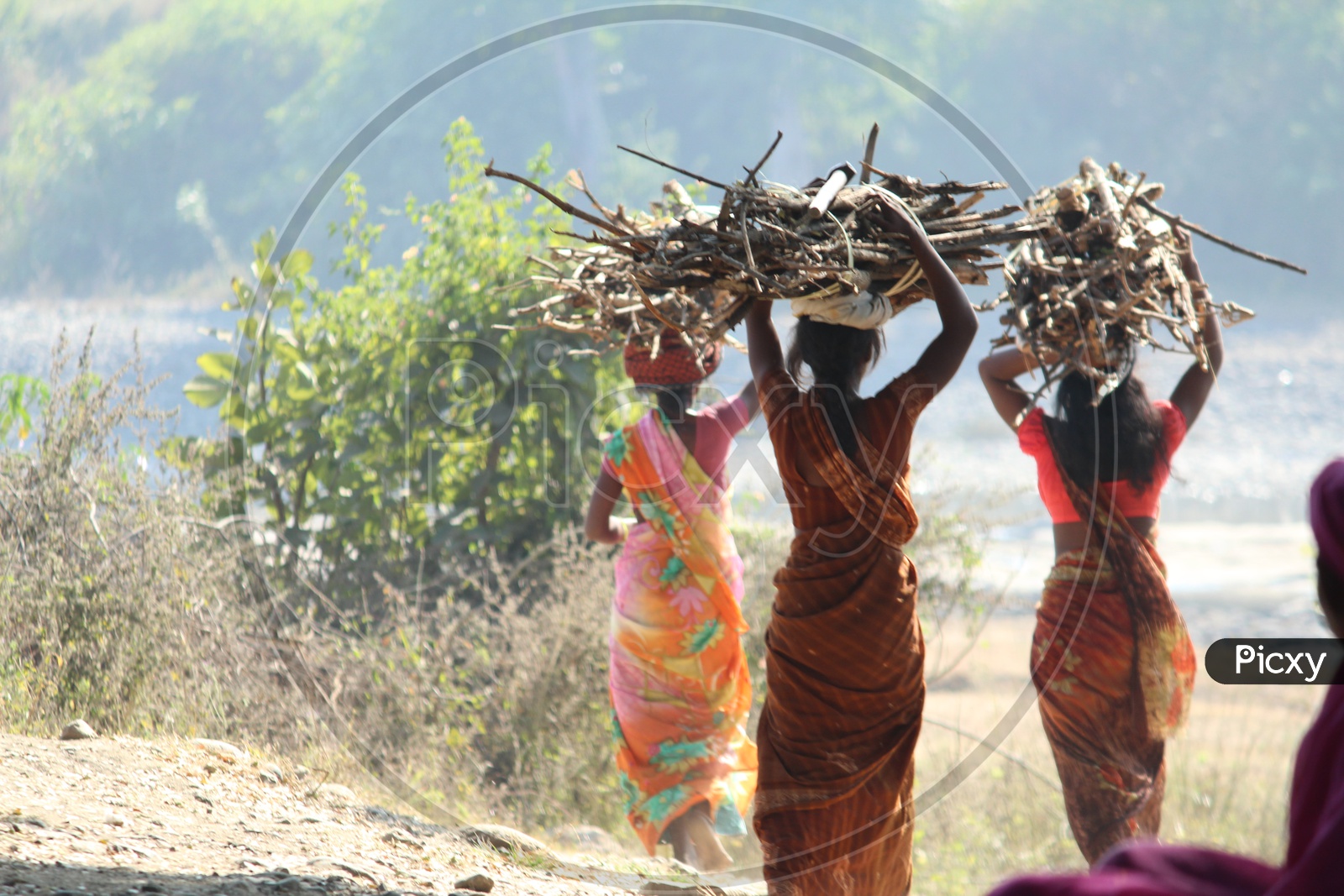 women carrying wood for cooking