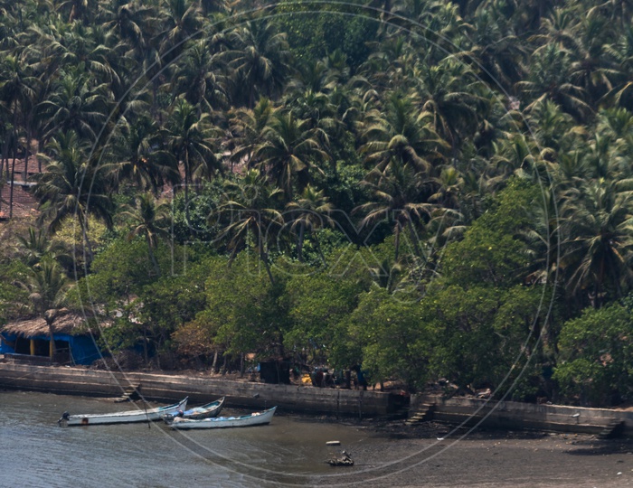 boats and trees on the beach side near chapora fort of goa