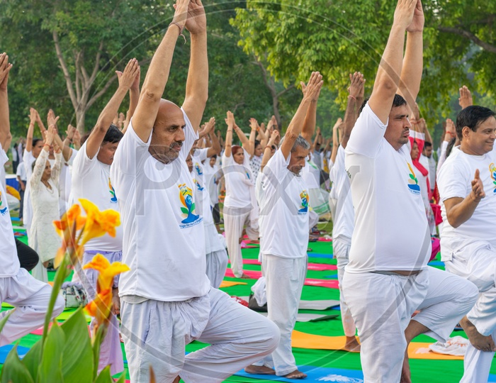 People doing Vrikshasana Yoga at Rajpath, Delhi