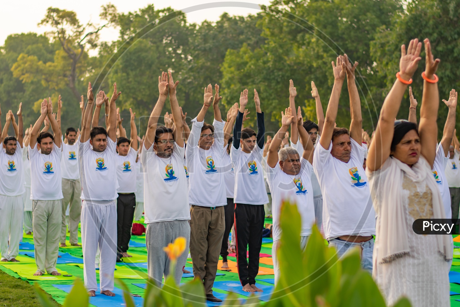 People doing yoga on the fifth International Yoga Day 2019 at Rajpath, Delhi