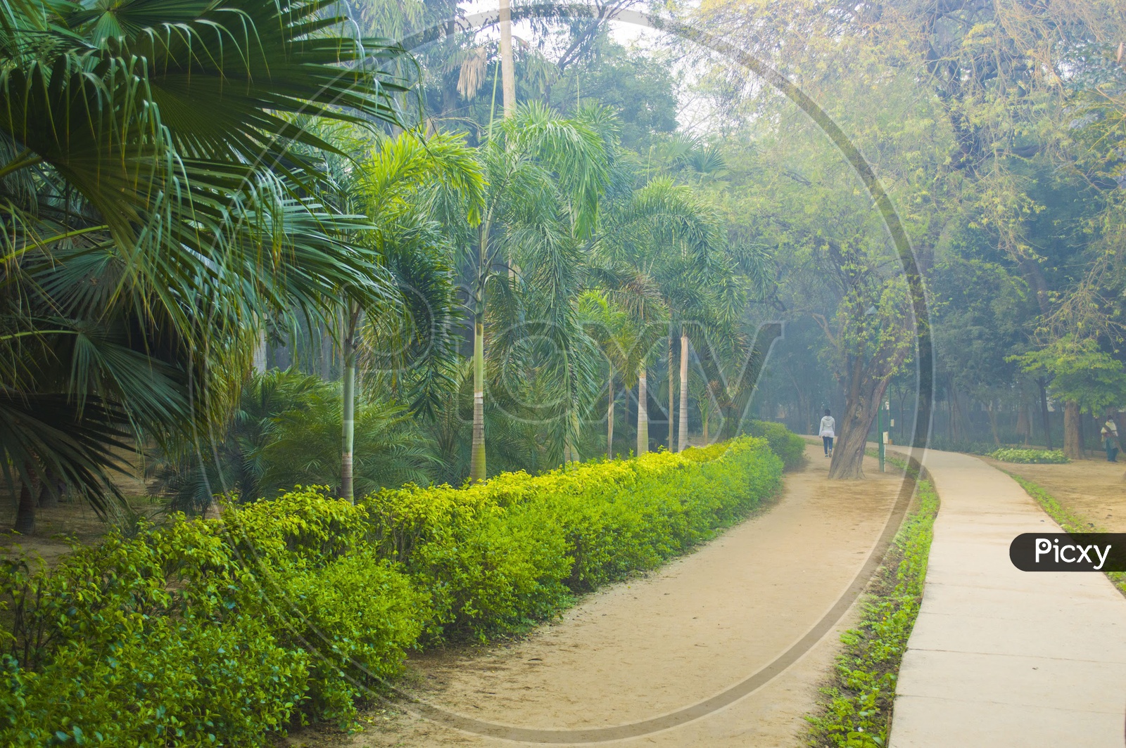 Lodhi Gardens, New Delhi