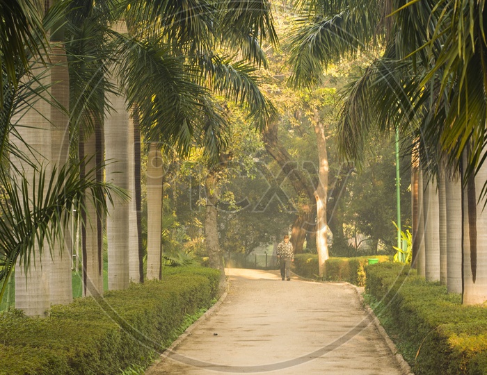 Walking Track in Lodhi Gardens, New Delhi