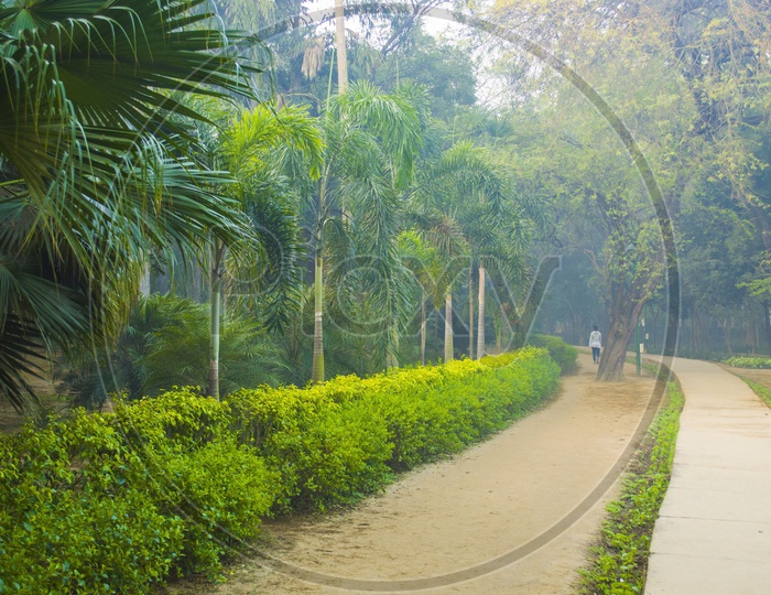 Lodhi Gardens, New Delhi