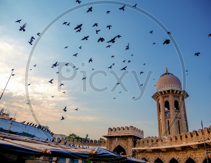 Pigeons flying around minar