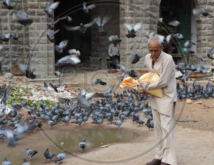 An Old Man Feeding Pigeons At Mozamjahi Market