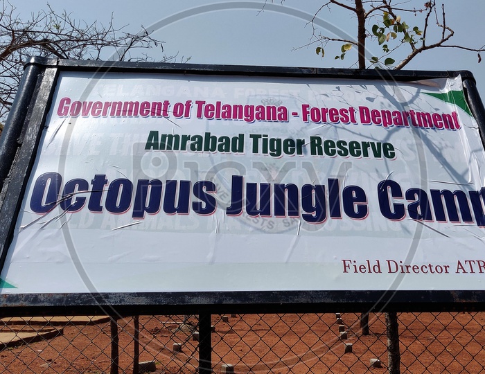 Ambrabad tiger Reserve  Board