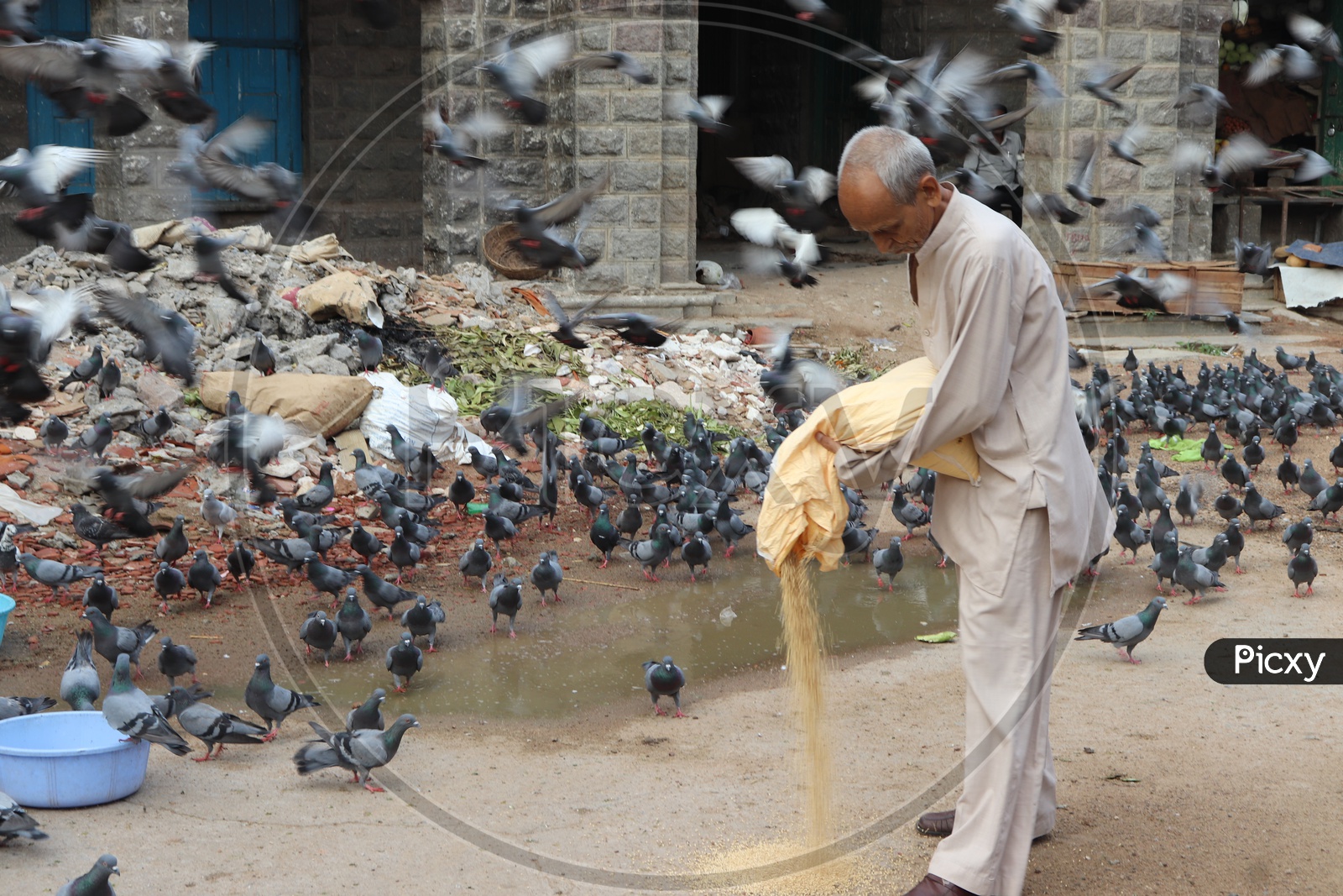 An Old Man Feeding Pigeons At Mozamjahi Market