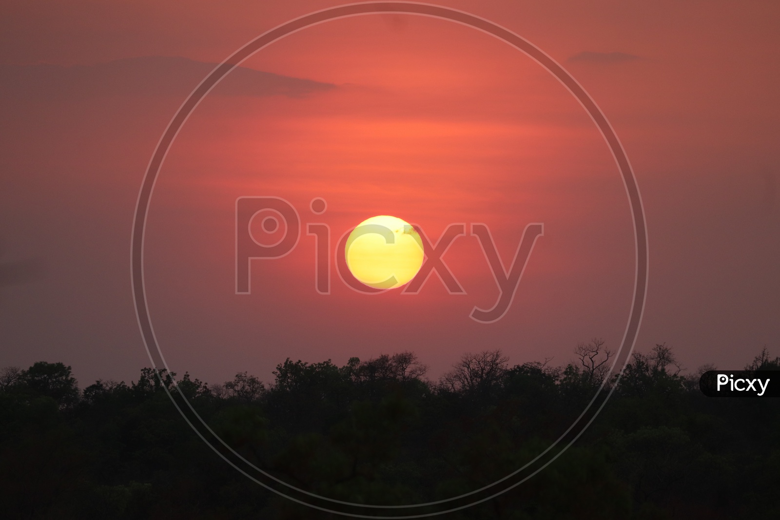 Bright Golden Yellow Sun over red Sky Background