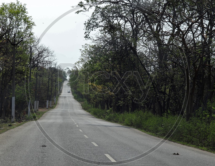 An Empty Road At Forest Area