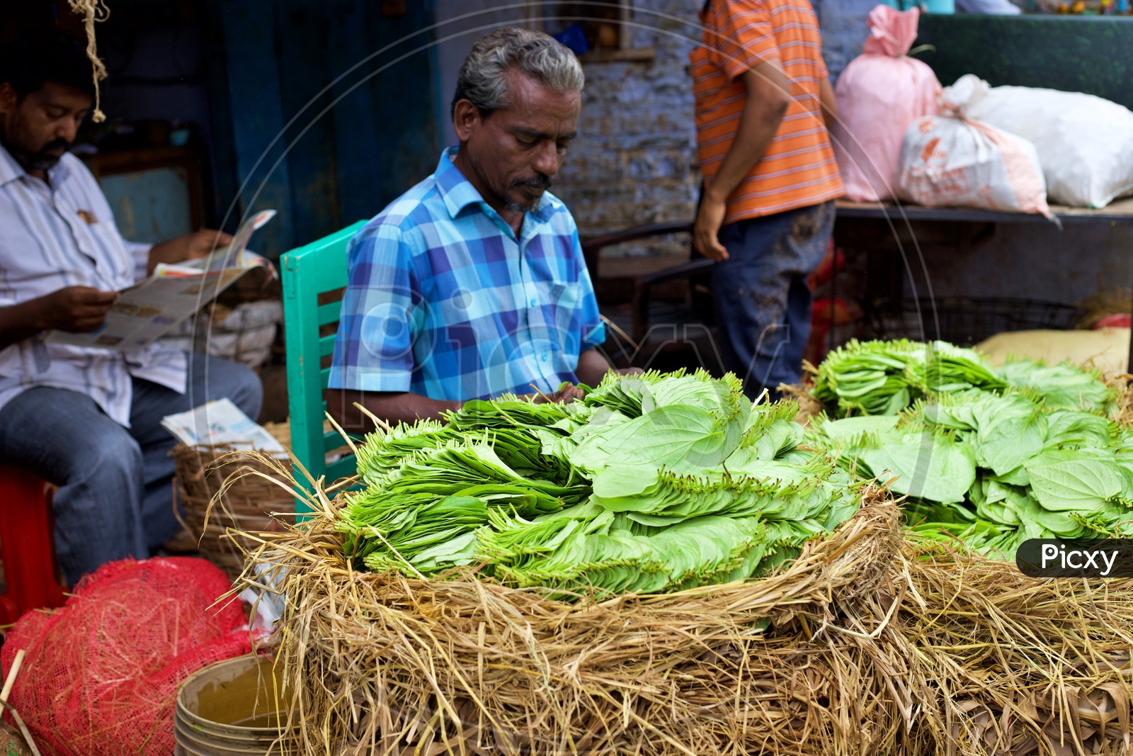 Merchant selling betel leaves.