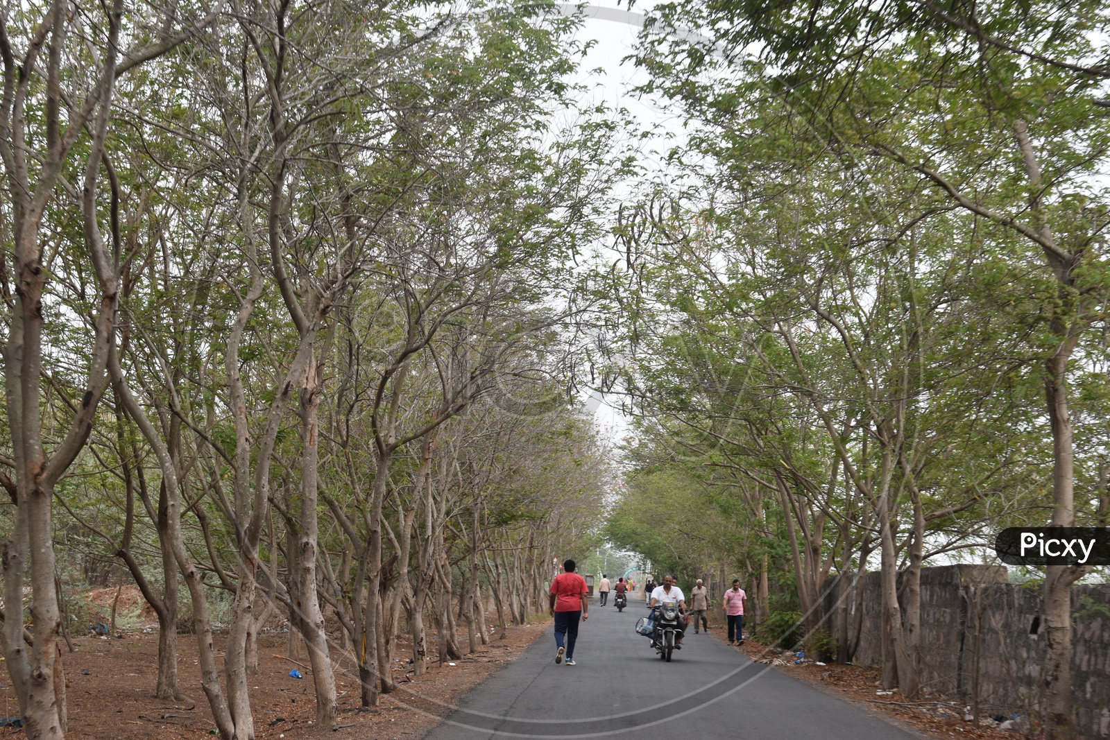 People on morning walks in rail eco park