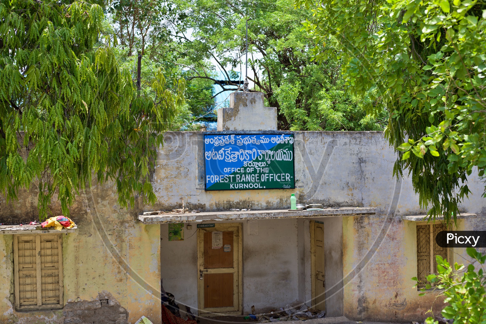 image-of-forest-range-officer-office-cu092769-picxy