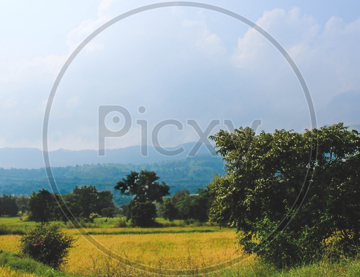 Countryside View