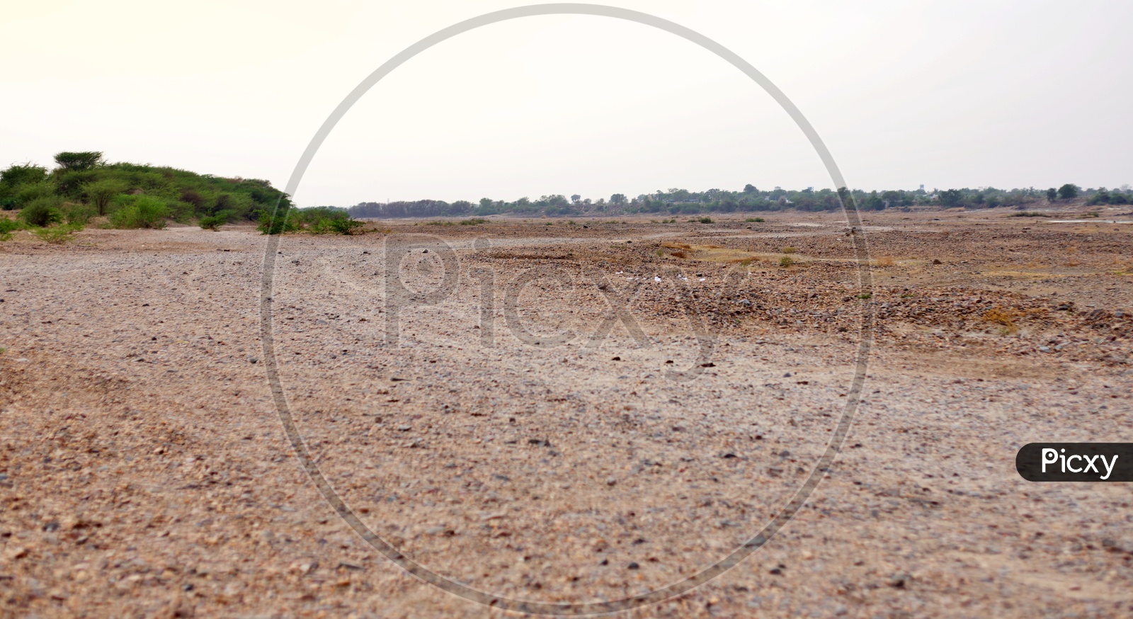Tungabhadra river fully dried due to hot summers.