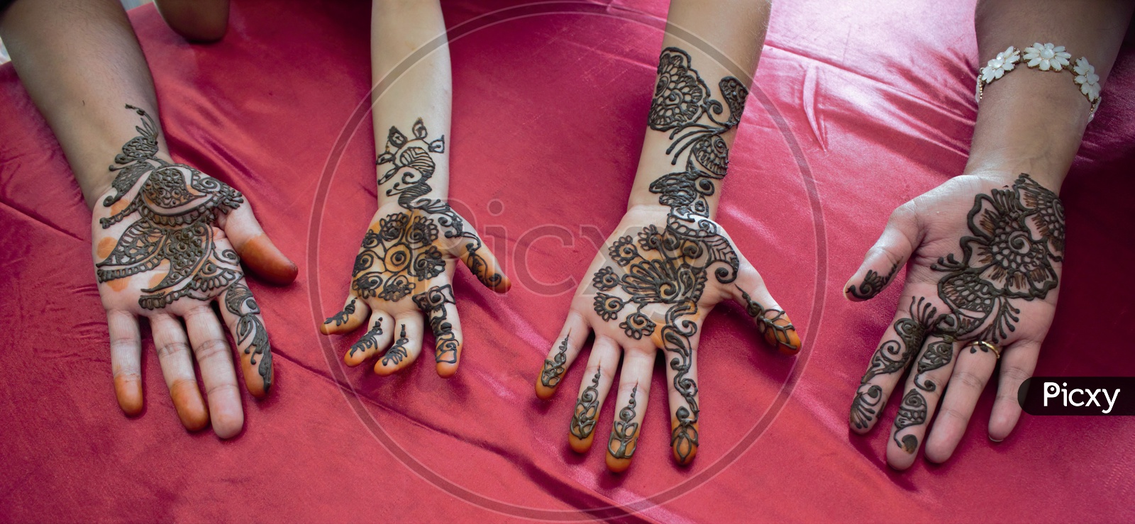 Mehandi Hands  Closeup