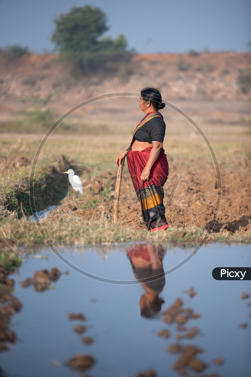 A Woman Farmer And Its Reflection In a Agricultural Field