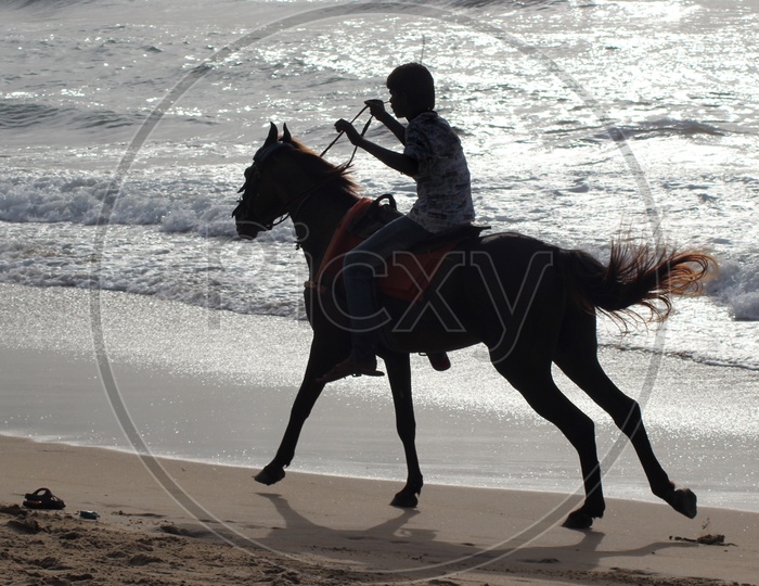 A Man Riding Horse In Beach