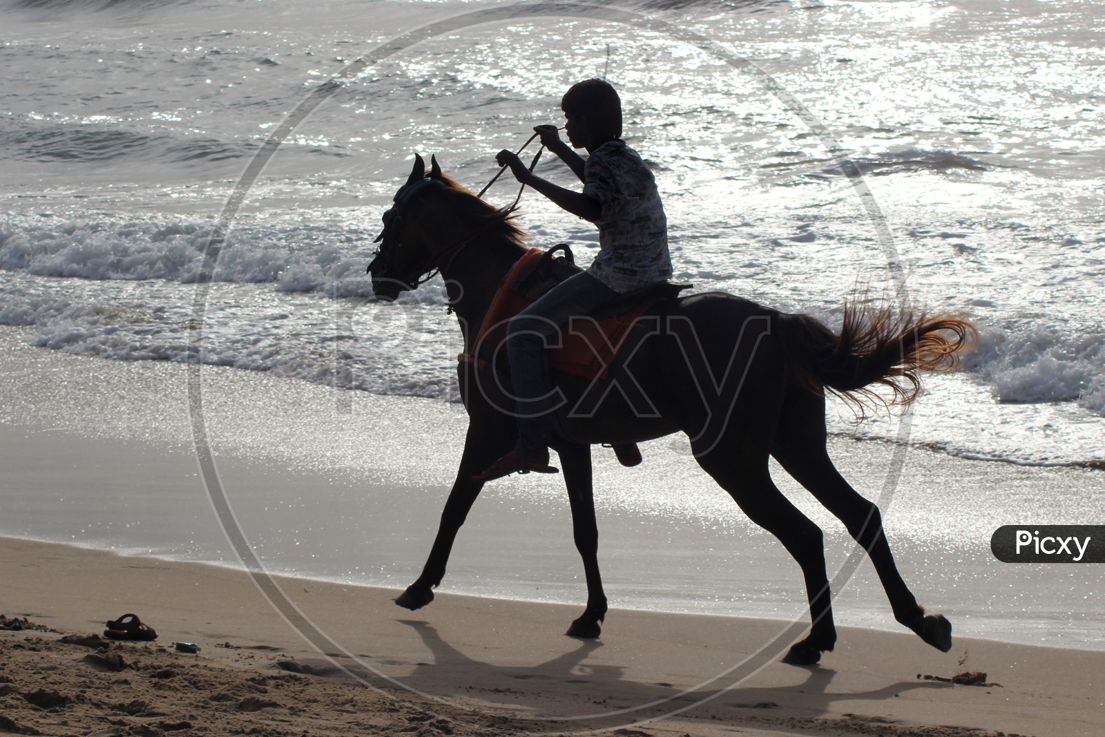A Man Riding Horse In Beach