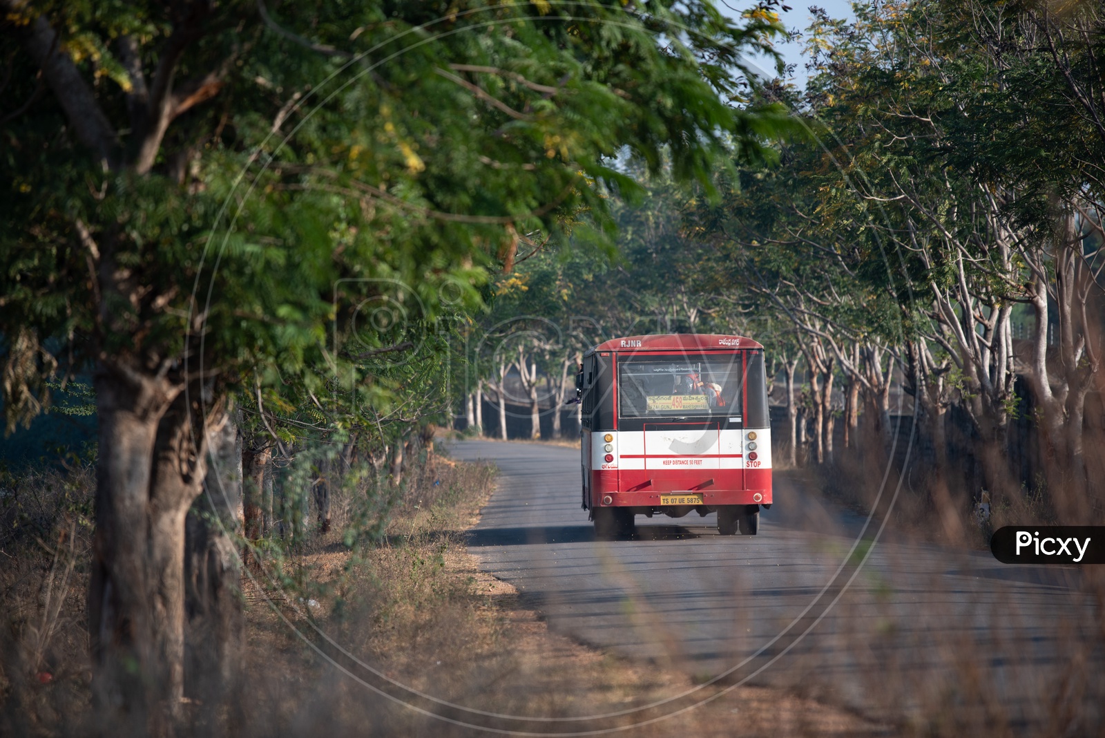 Telangana State Road Transport Corporation  ( TSRTC ) City Bus On Rural Village Roads