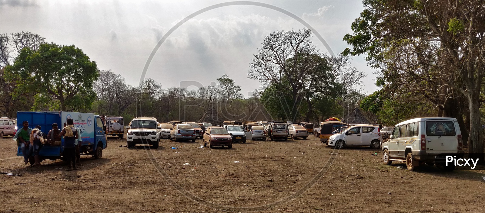 Cars Parked in a Parking Area At Saleswaram  Forest