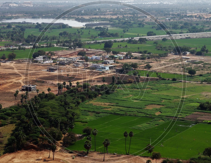 Aerial View Of Paddy Fields