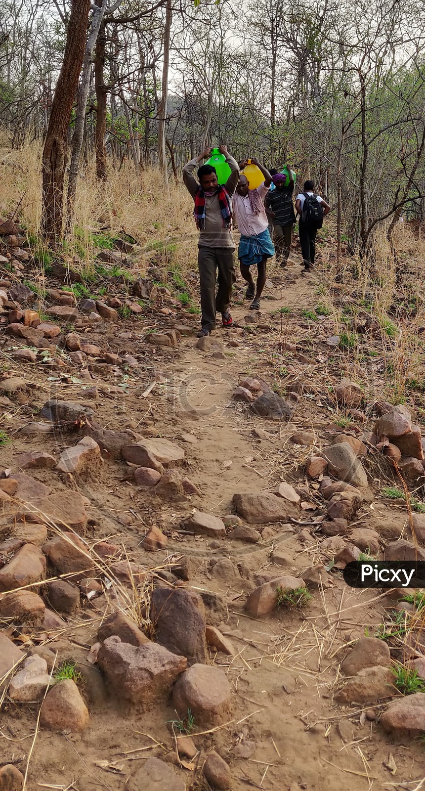 Men Carrying Water Vessels in Forest Pathways