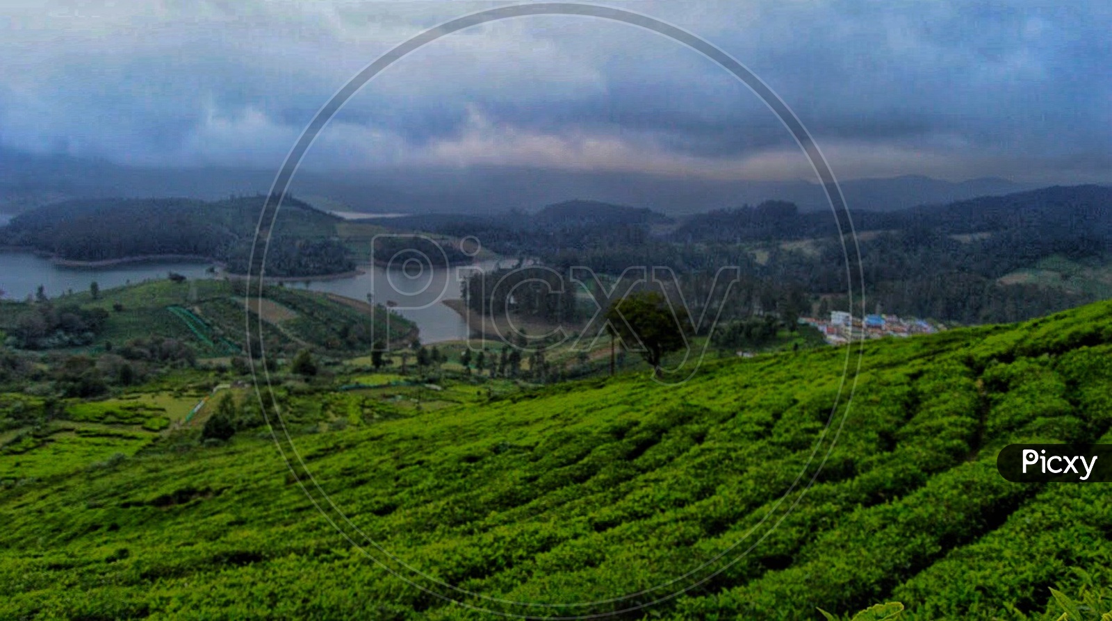 The tea plantations in the foreground and the avalanche lake in the backdrop.