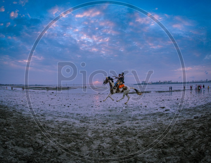 Horse Rides in beach With Blue Sky and Cotton Clouds In Background