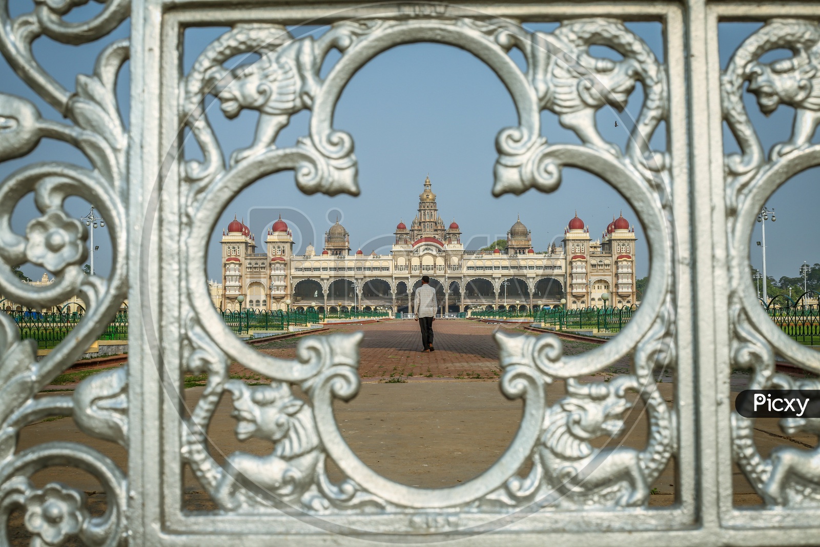 A View Of Mysore Palace
