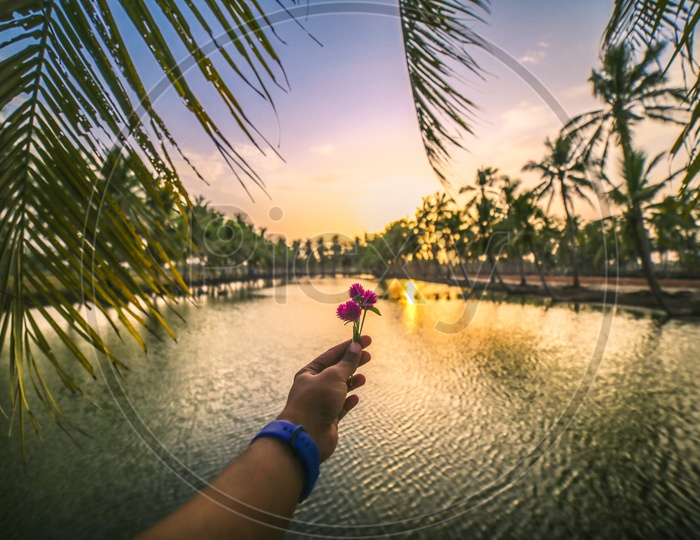 A Beautiful View Of  a Pond With Coconut Trees  on The Both Sides