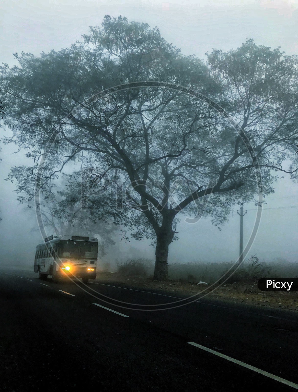 A Bus on the Inter State Roads in Foggy morning