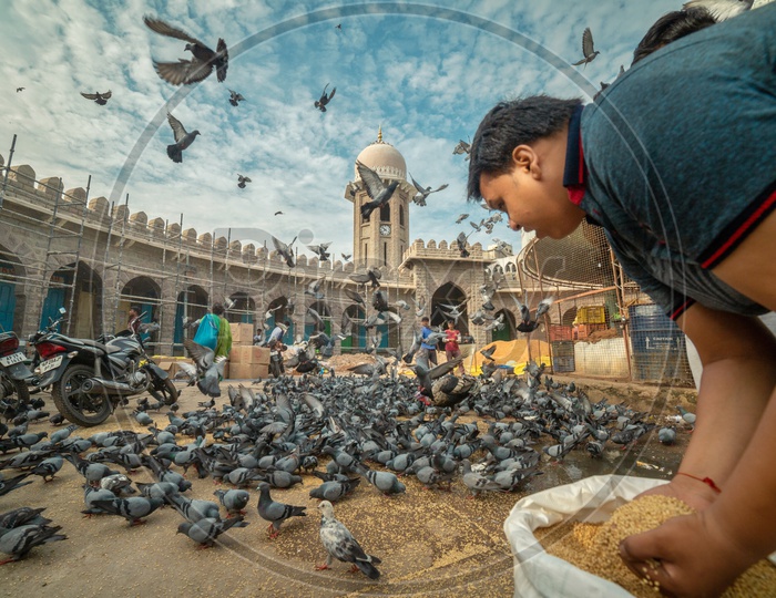 A Man Feeding The Pigeons at Mozamjahi Market