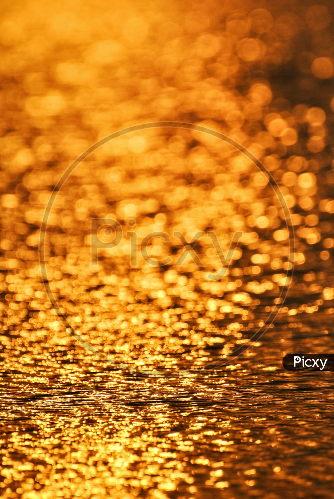 Golden Colour Of Light Over the Water Surface
