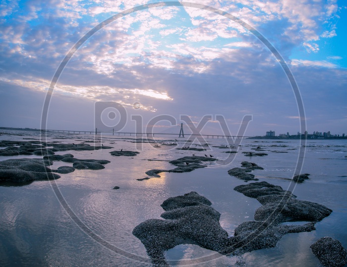 Texture Of Rock Beach  By Arabian Sea With Bandra Worli Sea Link In Background