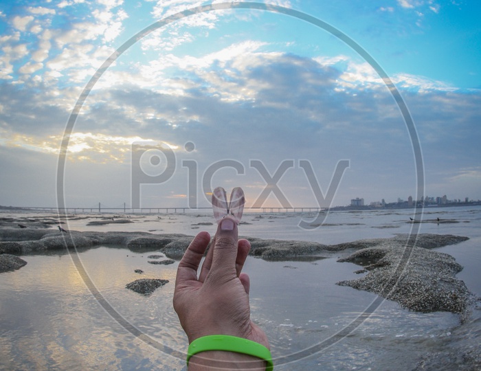 A Man Holding The Sea Shell In Hand At The rock Beach by Arabian Sea With Bandra Worli Sea Link in Background