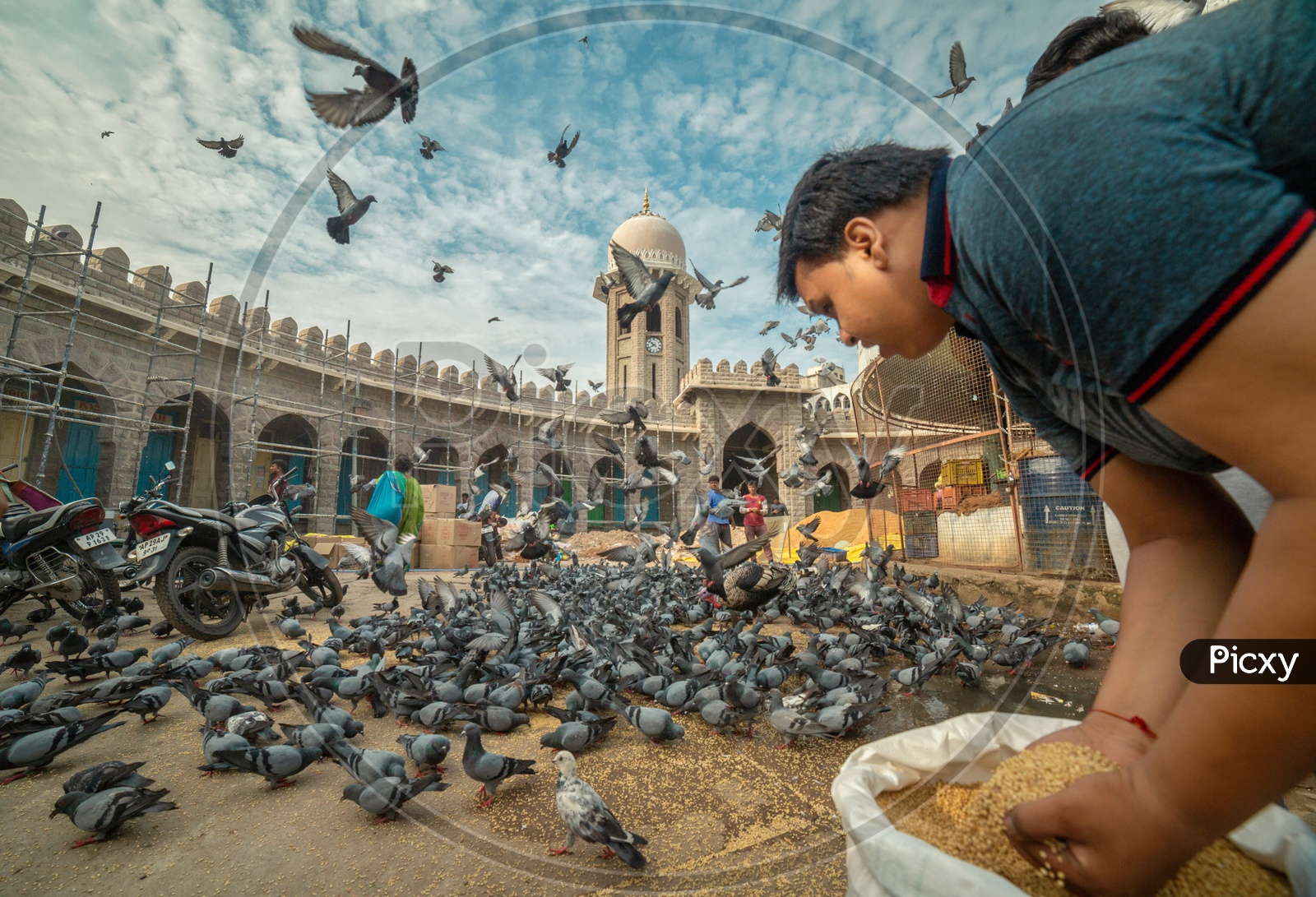 A Man Feeding The Pigeons at Mozamjahi Market
