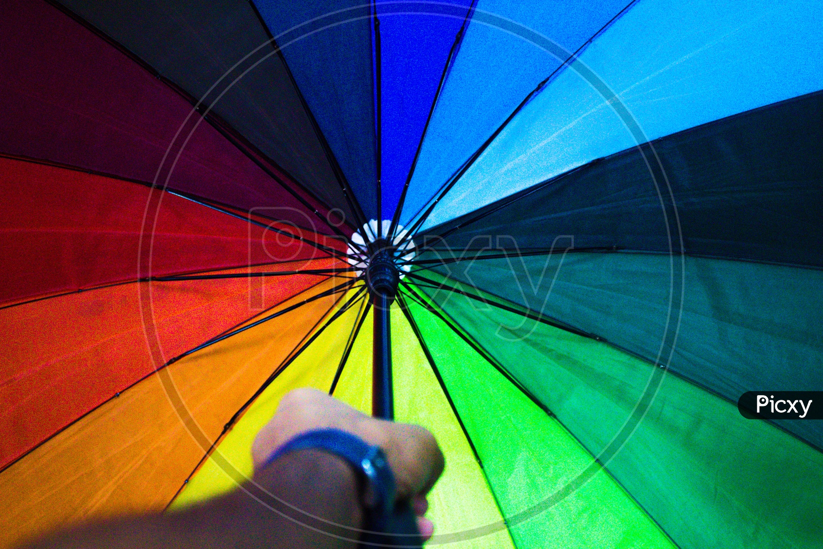 holding a colourful umbrella